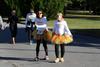 2018-nov-3-pnspumpkinrun-2-0840-0850-IMG_4113