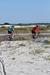 Pensacola Beach Access #2 0840-0850