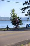 2019-jul-13-tmrmountainlakestriathlon-3-0750-0800-IMG_0384