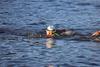 2019-sep-22-tmrrenaissancecitytriathlon-6-0730-0740-IMG_0040